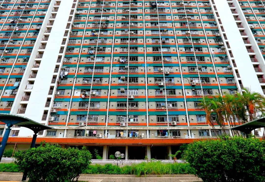 真实的香港说说香港现在最热门的网红景点彩虹邨