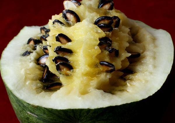 我们嗑的西瓜子是咋来的