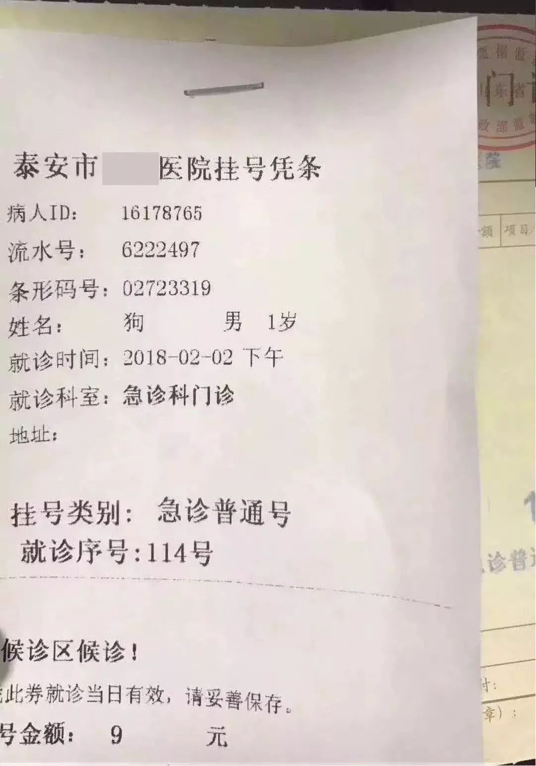 囧南宁一男子深夜带狗看广西民族医院急诊科被拒绝后大闹医院