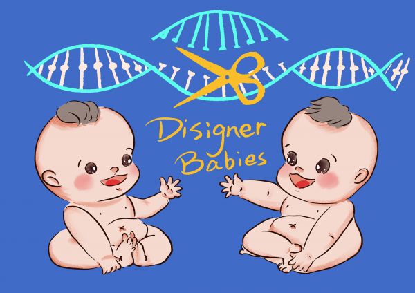 蛋白表达：揭秘生物医学研究领域的新篇章