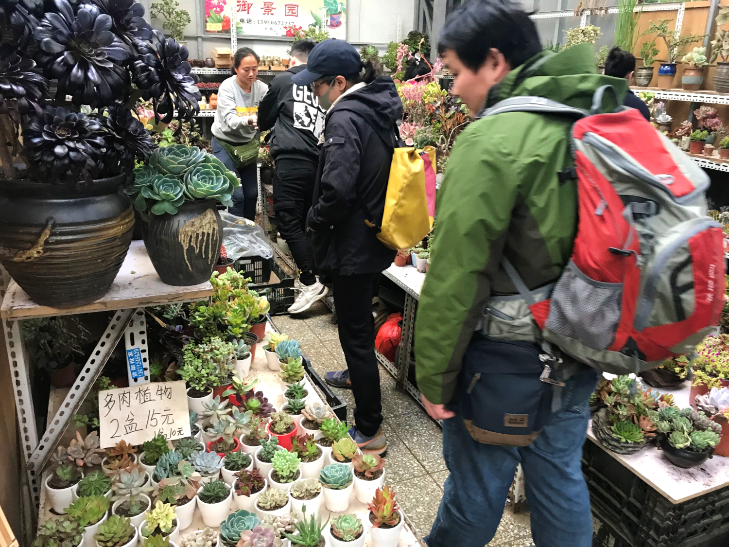 莱太花卉市场下月将闭市改造,商户甩货撤摊
