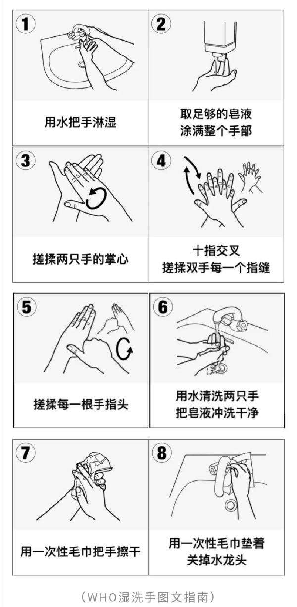 新型冠状病毒肺炎预防知识汇总--洗手篇
