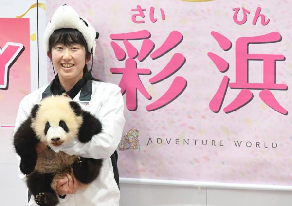 日本和歌山动物园为大熊猫幼崽命名为 彩滨 母亲是良浜 手机新浪网