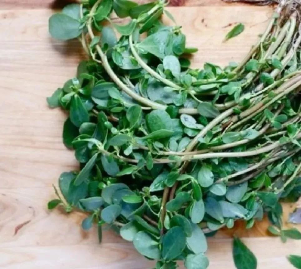 老祖宗眼中的长寿菜,救命菜,35岁以后要多吃!