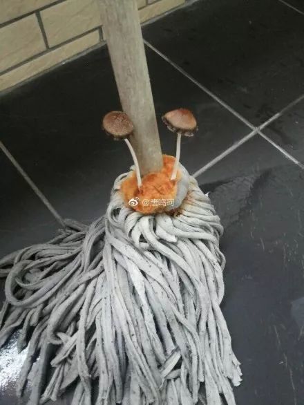 生考银行职员最后环节被拒:机器人性格测试不