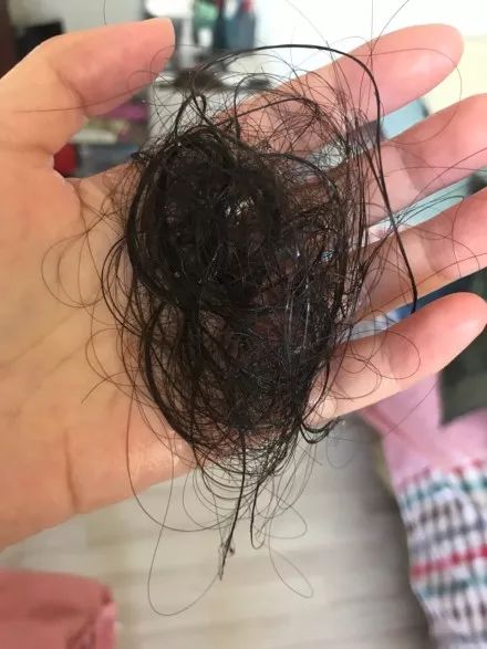 第一届薅头发大赛正式开始敢不敢来战