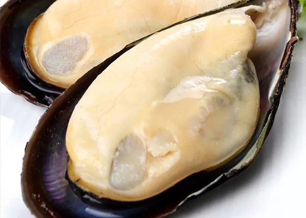 老少咸宜的"海中鸡蛋",营养美味还能降胆固醇!