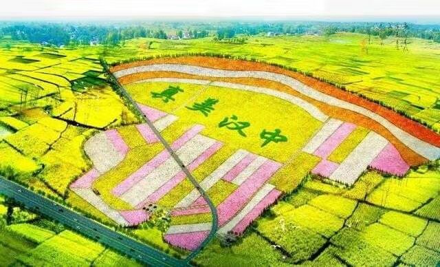 2019年中国最美油菜花海汉中旅游文化节于3月15日启幕