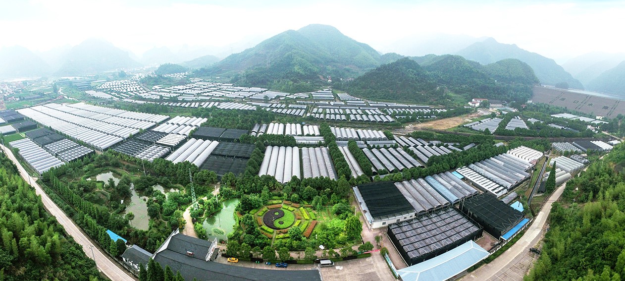 寿仙谷医药做大做强中医药产业 有力助推乡村产业振兴