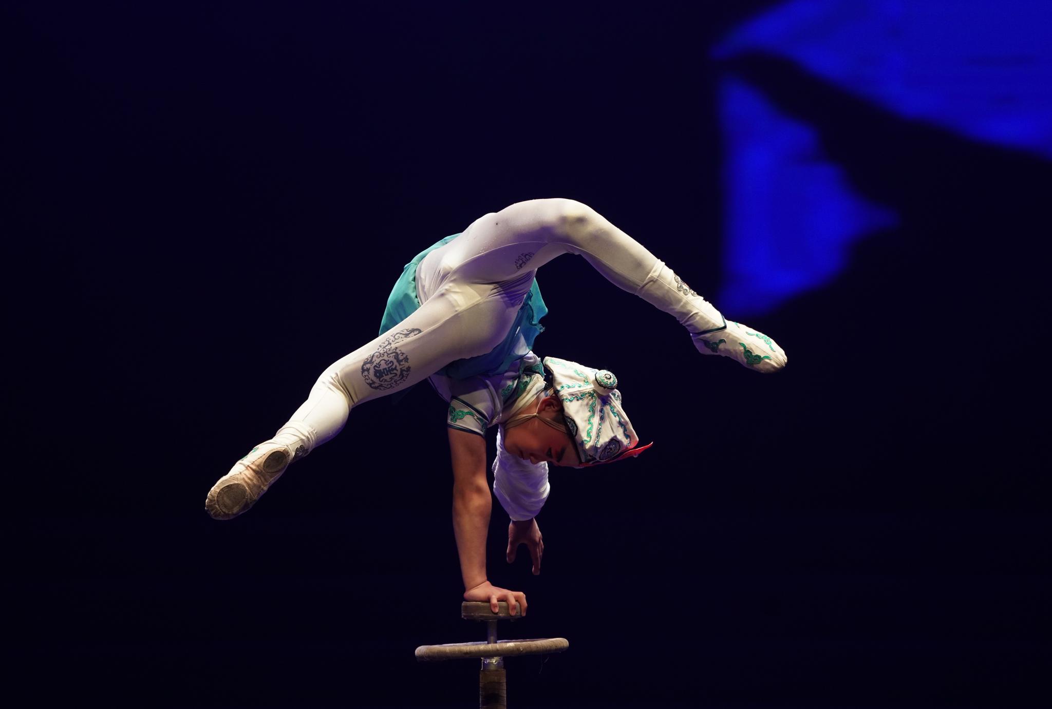 11月7日,河北吴桥杂技艺术学校和沧州杂技团的演员在表演《凌云狮秀