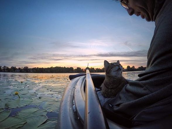spritzer现在已经13岁了 她仍然像在小猫时一样喜欢和小哥一起去划船
