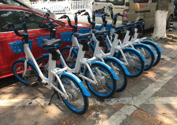 哈罗共享电单车来了!2元能骑半小时,停车必须