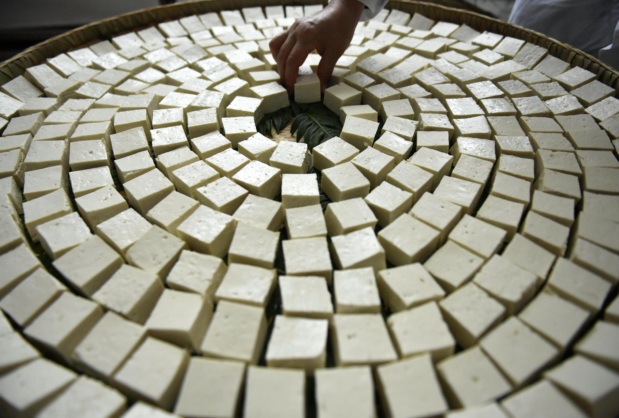 甘肃张掖:雪中荷韵