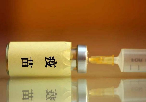 武汉生物百白破疫苗图片