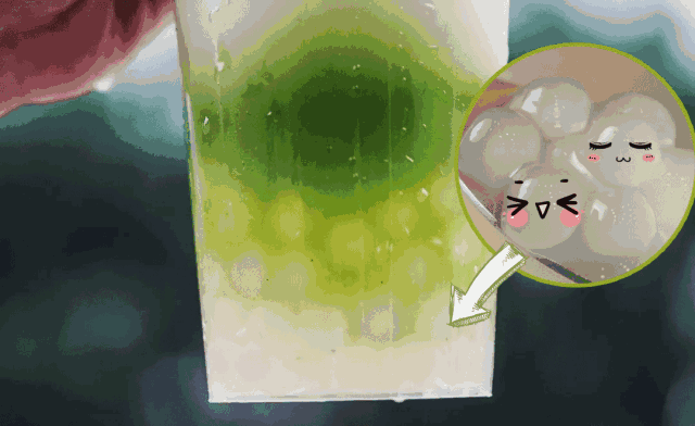 640_392gif 动态图 动图