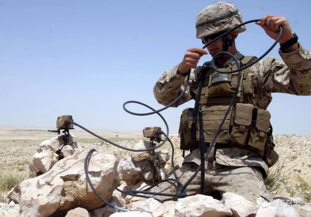 蝙蝠和海豚的特异功能,被应用到战场上获取秘密军事情报