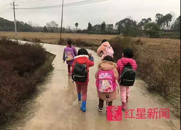 村小学生走在上学的路上。