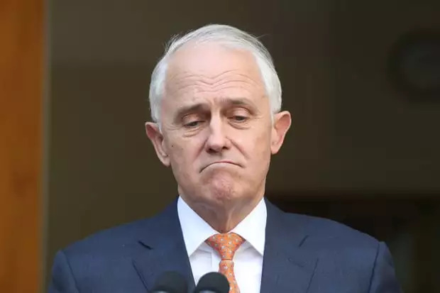 澳大利亚内阁"宫斗剧"落幕,他意外夺得总理宝座|莫里森|达顿|特恩布尔