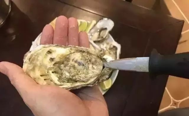 越了解生蚝,我就越不了解人类