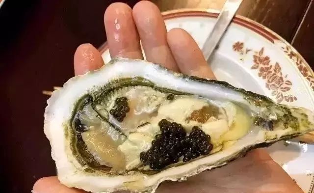 越了解生蚝,我就越不了解人类