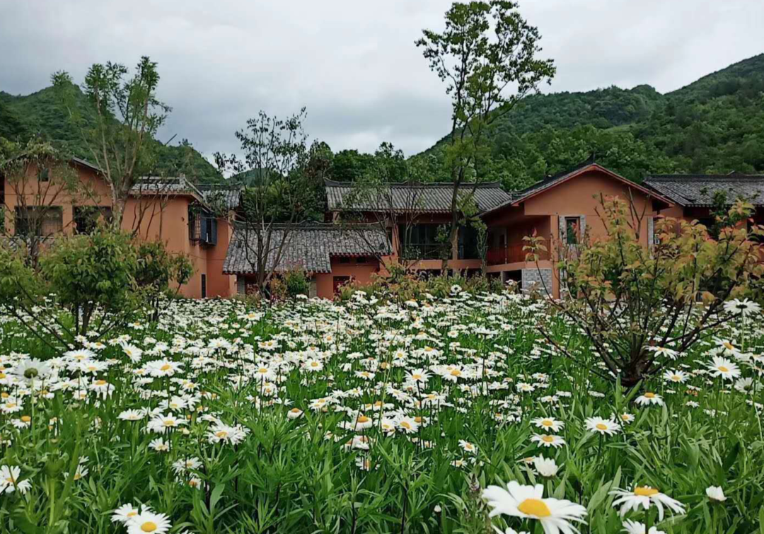 武汉热了,蔚然黛绿好时节,清凉的花田酒溪迎来首届避暑文化旅游节