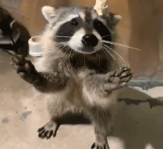 地铁直达西安这个萌宠聚集地特惠来袭万只萤火虫等你打卡