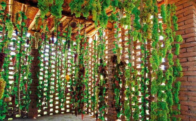 【去新疆旅游】葡萄沟-火焰山下百果园|火焰山|葡萄沟|晾房_新浪新闻