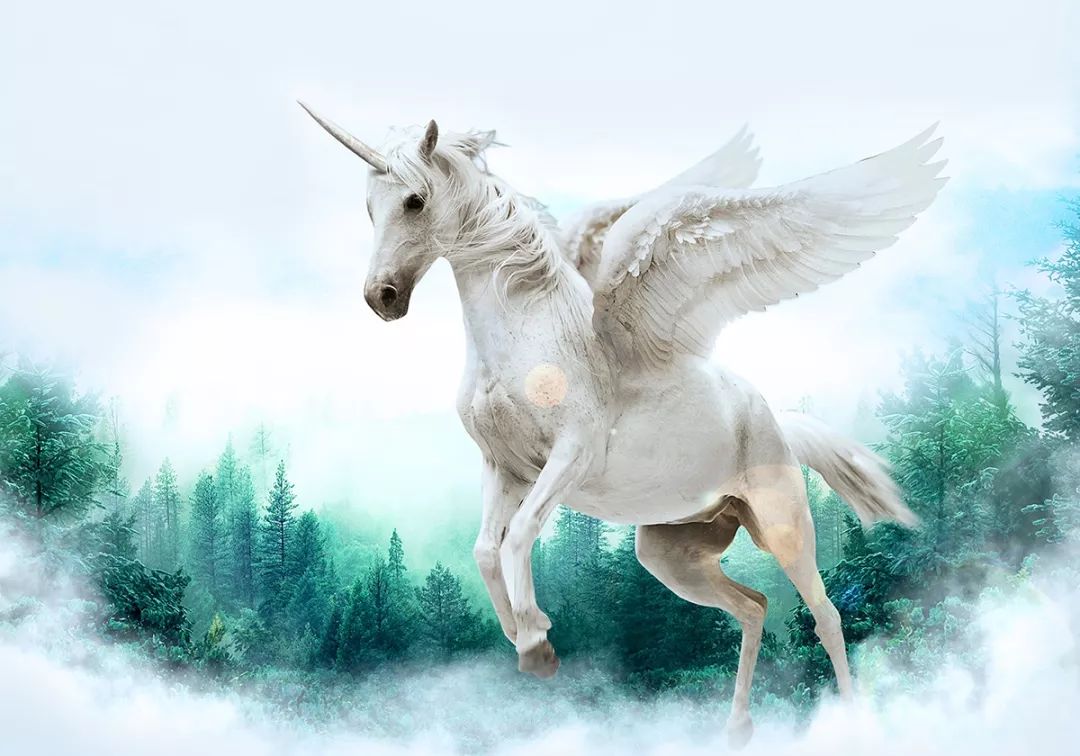 搞招聘的、做母婴的…一大波独角兽上市融资