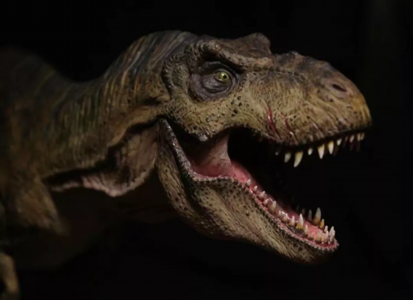 盱眙小伙在家里建了一个侏罗纪公园