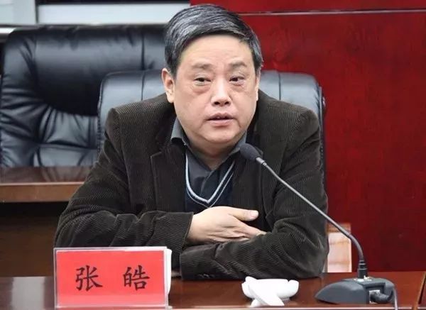 张皓 图片来自网络经查,张皓严重违反中央八项规定精神,借公务差旅