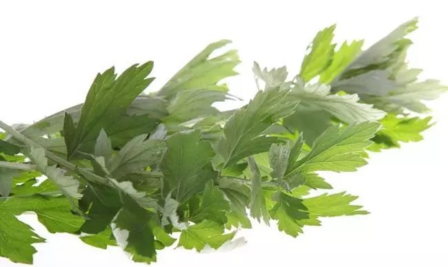 家家门口都插上艾叶,端午节,驱寒,扶阳,通经络……抑或是熬水给孩子