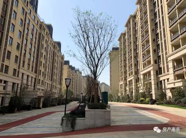 融侨观邸三期绿化大缩水,工作人员:成年人了,还不懂沙盘和效果图仅供