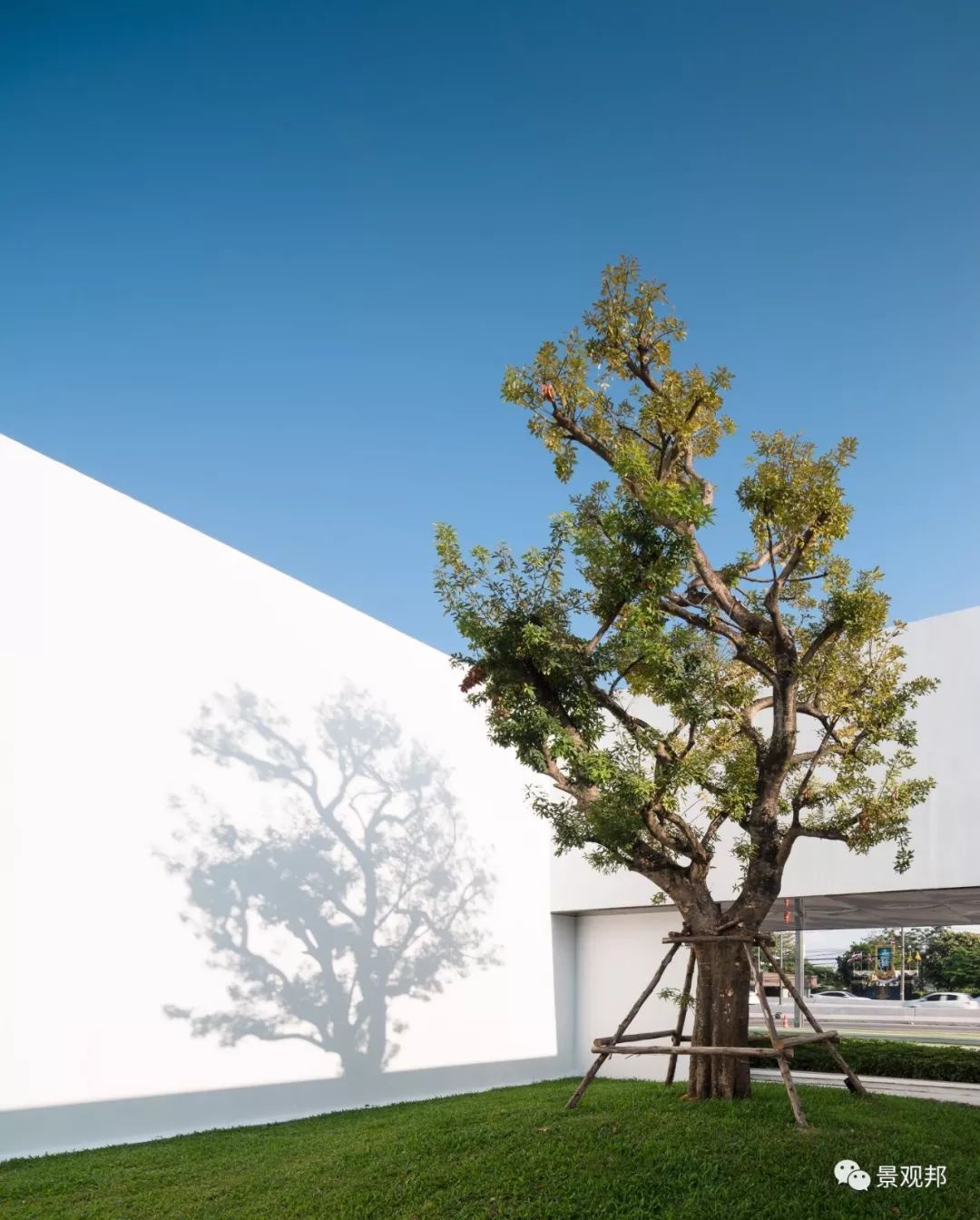 植物就是这么有魔力 它能让整个空间复活