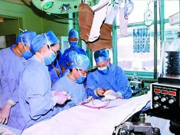 陆峰江晓燕全本免费阅读