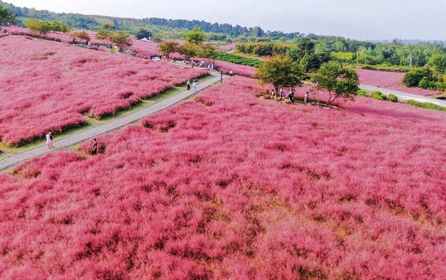 少女心爆棚十月金秋美成了童话世界
