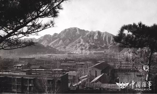 陆军干部见习锻炼基地巡礼62抗震救灾先进营