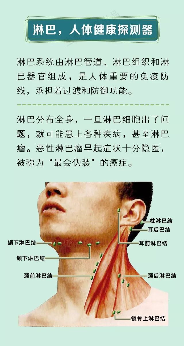 身体病了淋巴会说话这7处淋巴一定不能堵附疏通手法
