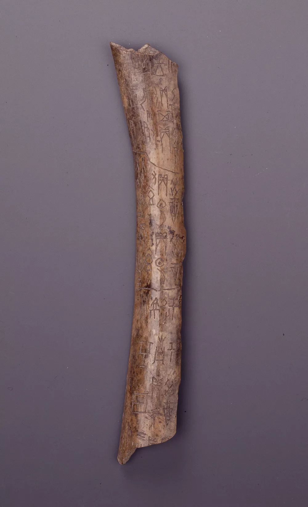 国际铁人三项赛本周末举行,16条公交线路临时让行