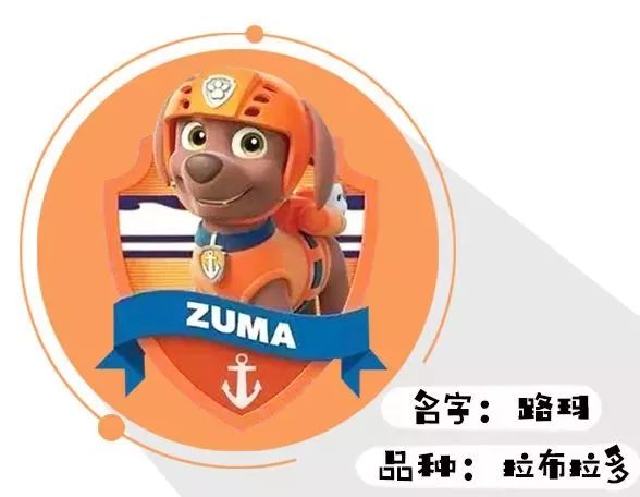 打败小猪佩奇晋升宝宝圈第一网红的汪汪队到底好在哪里