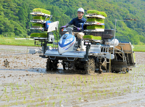 日本山地农业机械化图片