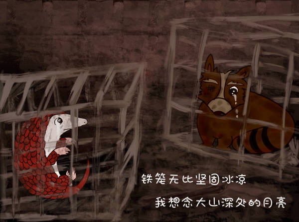 战"疫"漫画丨保护野生动物,让穿山甲回家