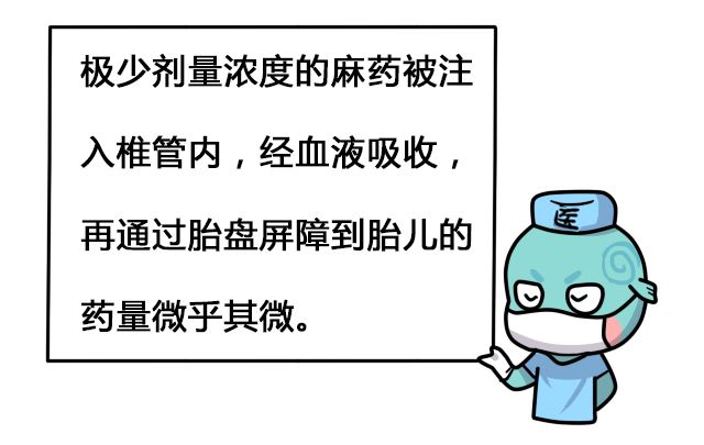 恋爱的酸臭味太浓,洒点单身汪的清香|孕妇|奔奔|麻醉_新浪新闻