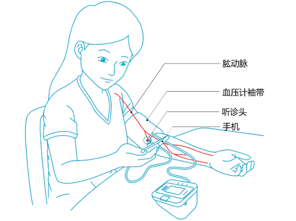 校准结果可根据对比结果这么判断:偏差在 5mmhg 之内,说明您的血压计