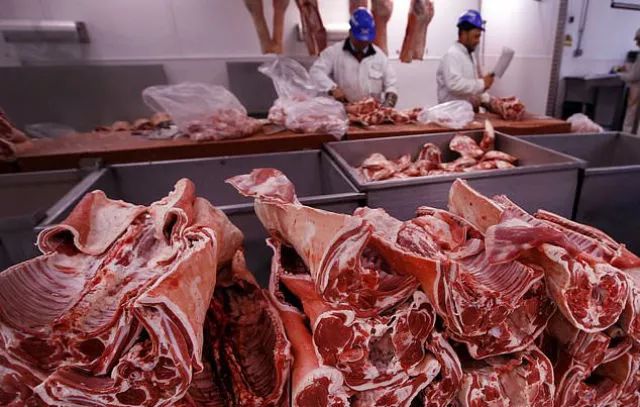 这是伦敦一家屠宰场.