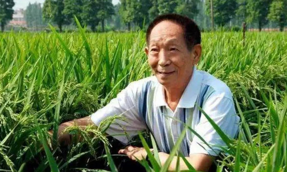 农业领域袁隆平王伯祥刘永好获改革先锋称号
