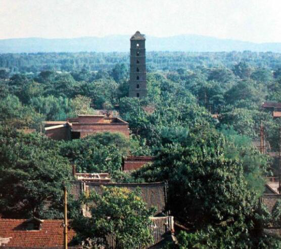 旧城纪事30年前的洛阳老照片探寻沉底的城市记忆