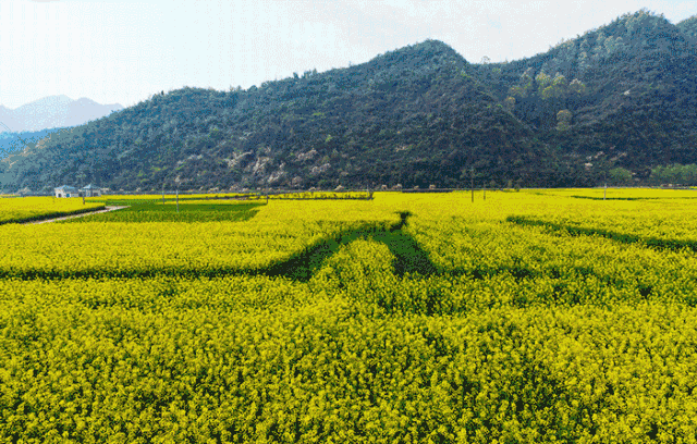 640_408gif 动态图 动图