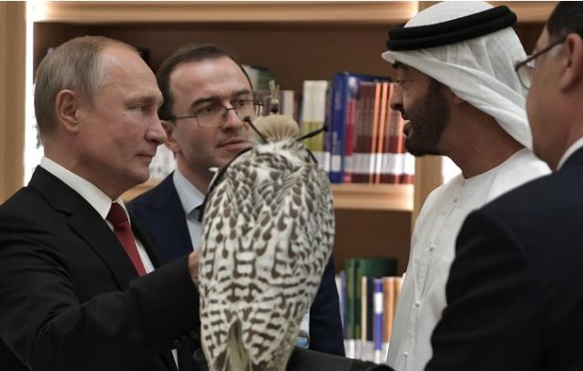 普京向阿联酋王储赠送了一只猎鹰（图源：俄罗斯卫星通讯社）