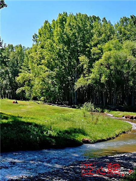 新疆塔城快活林中的夏日风光惬意