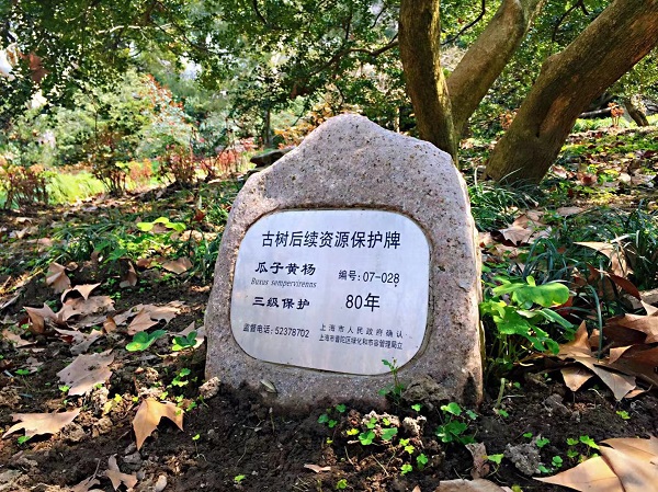 听民声察民情古树名木缺标牌难识庐山真面目